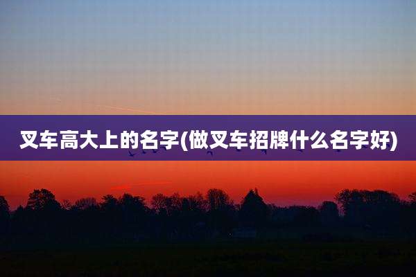 叉车高大上的名字(做叉车招牌什么名字好)