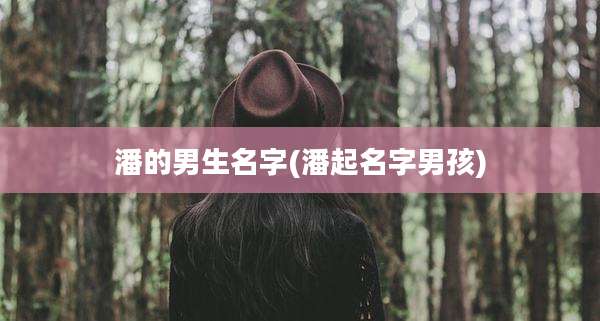 潘的男生名字(潘起名字男孩)