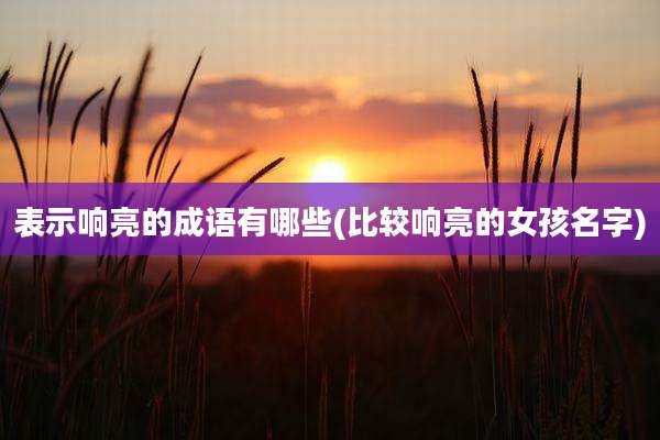表示响亮的成语有哪些(比较响亮的女孩名字)