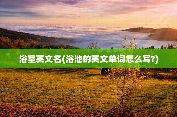 浴室英文名(浴池的英文单词怎么写?)