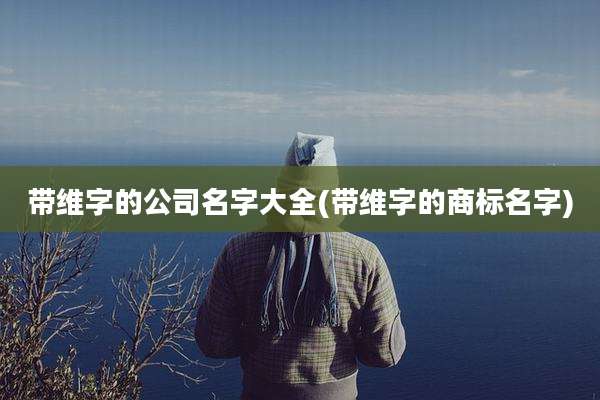 带维字的公司名字大全(带维字的商标名字)