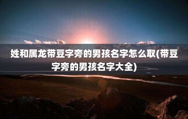 姓和属龙带豆字旁的男孩名字怎么取(带豆字旁的男孩名字大全)
