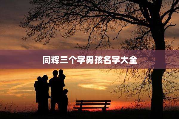 同辉三个字男孩名字大全