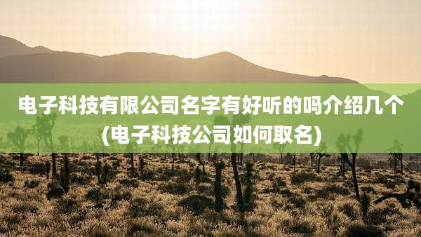电子科技有限公司名字有好听的吗介绍几个(电子科技公司如何取名)