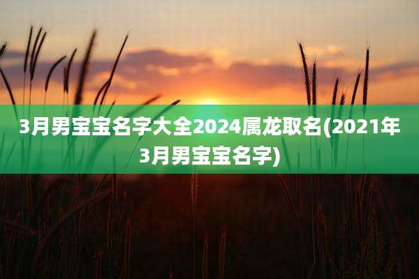 3月男宝宝名字大全2024属龙取名(2021年3月男宝宝名字)
