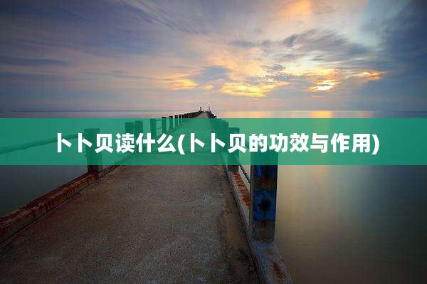 卜卜贝读什么(卜卜贝的功效与作用)