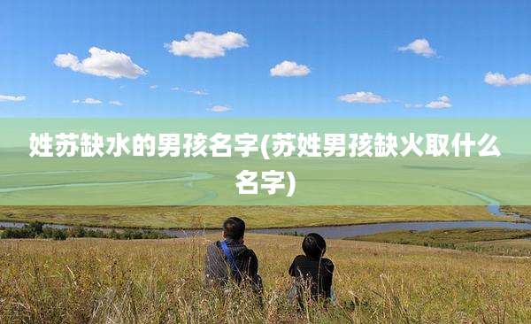 姓苏缺水的男孩名字(苏姓男孩缺火取什么名字)
