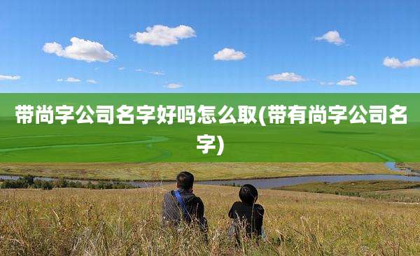 带尚字公司名字好吗怎么取(带有尚字公司名字)