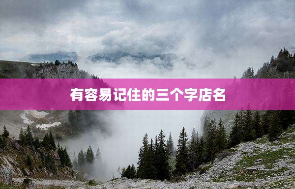 有容易记住的三个字店名