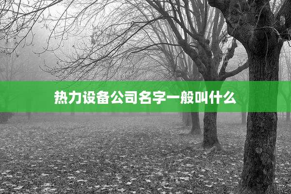 热力设备公司名字一般叫什么