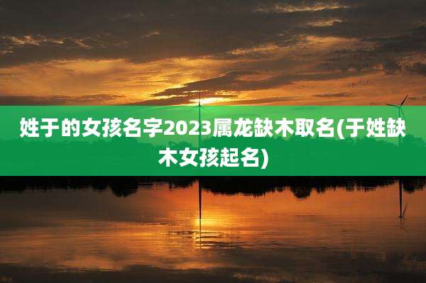 姓于的女孩名字2023属龙缺木取名(于姓缺木女孩起名)
