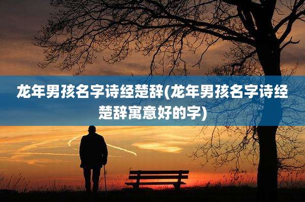 龙年男孩名字诗经楚辞(龙年男孩名字诗经楚辞寓意好的字)