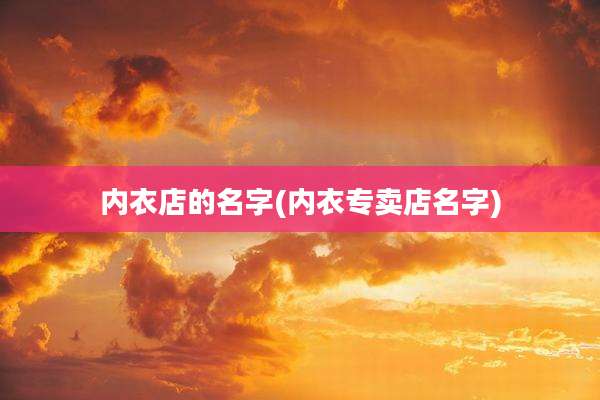 内衣店的名字(内衣专卖店名字)