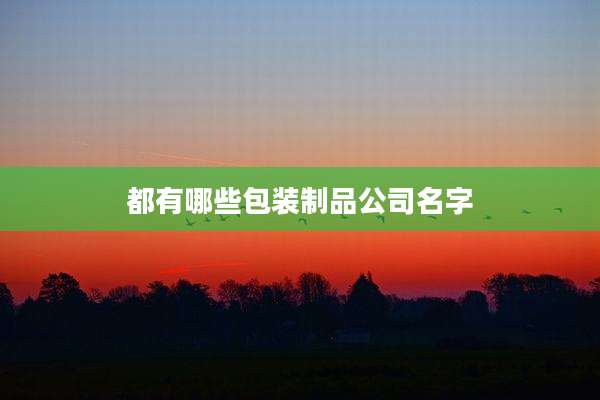 都有哪些包装制品公司名字