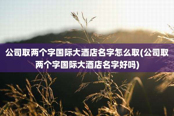 公司取两个字国际大酒店名字怎么取(公司取两个字国际大酒店名字好吗)