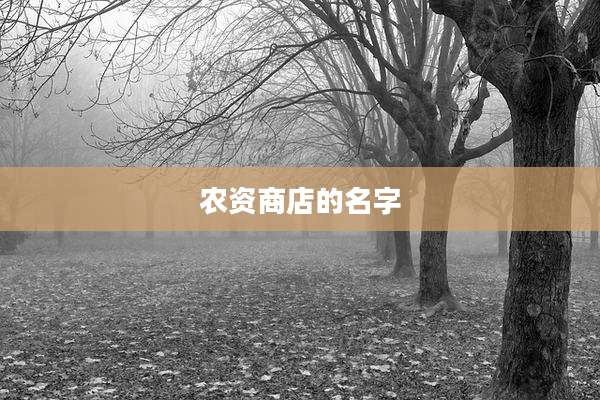 农资商店的名字