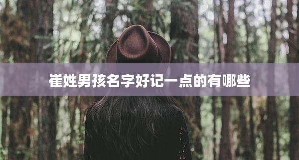 崔姓男孩名字好记一点的有哪些