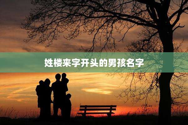 姓楼来字开头的男孩名字