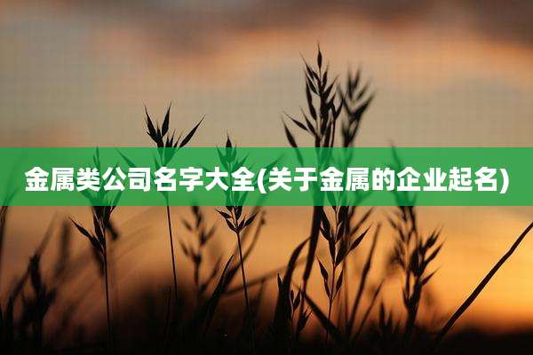 金属类公司名字大全(关于金属的企业起名)