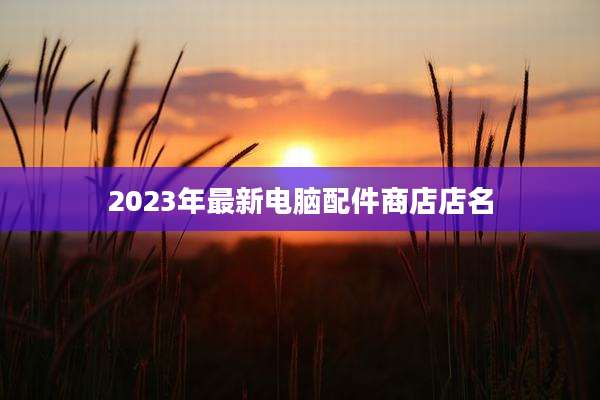 2023年最新电脑配件商店店名