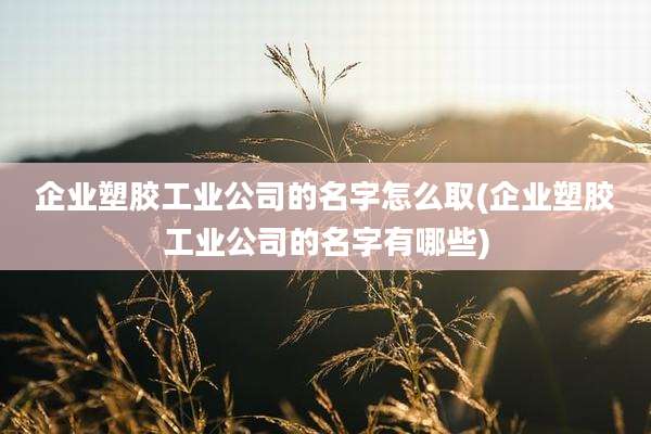 企业塑胶工业公司的名字怎么取(企业塑胶工业公司的名字有哪些)