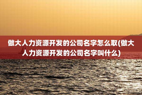 做大人力资源开发的公司名字怎么取(做大人力资源开发的公司名字叫什么)