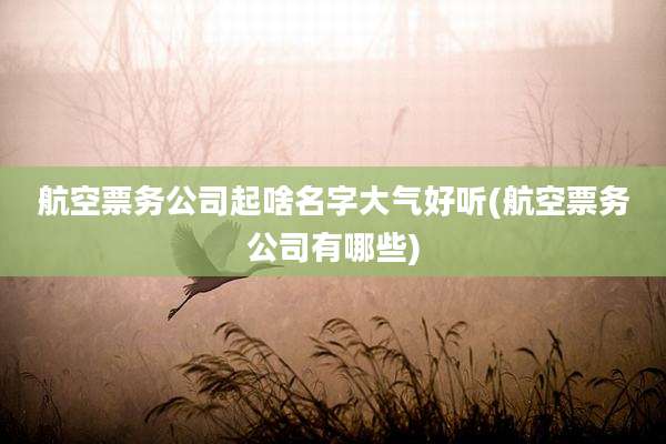 航空票务公司起啥名字大气好听(航空票务公司有哪些)