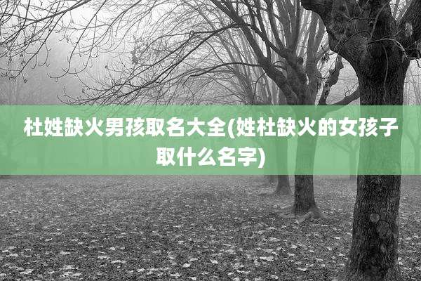 杜姓缺火男孩取名大全(姓杜缺火的女孩子取什么名字)