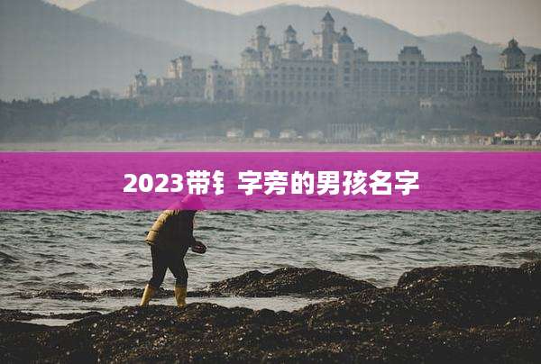 2023带钅字旁的男孩名字