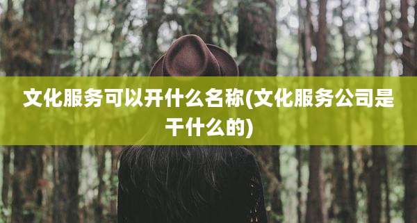 文化服务可以开什么名称(文化服务公司是干什么的)
