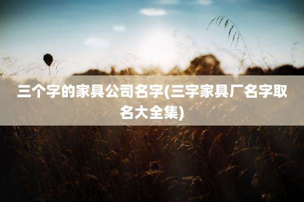 三个字的家具公司名字(三字家具厂名字取名大全集)
