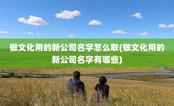做文化用的新公司名字怎么取(做文化用的新公司名字有哪些)