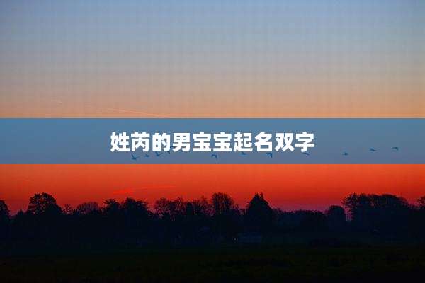 姓芮的男宝宝起名双字