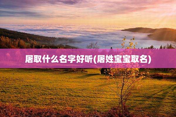 屠取什么名字好听(屠姓宝宝取名)