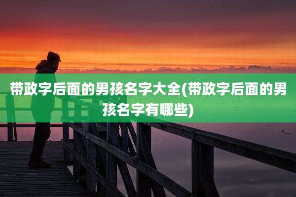 带政字后面的男孩名字大全(带政字后面的男孩名字有哪些)
