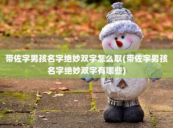 带佐字男孩名字绝妙双字怎么取(带佐字男孩名字绝妙双字有哪些)