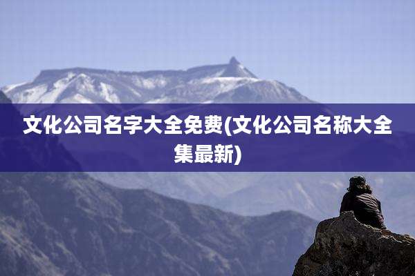 文化公司名字大全免费(文化公司名称大全集最新)