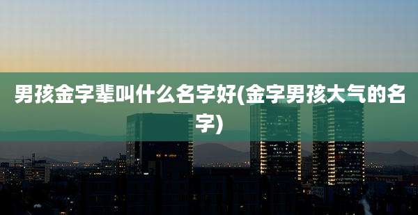 男孩金字辈叫什么名字好(金字男孩大气的名字)