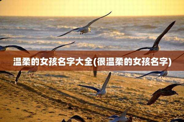 温柔的女孩名字大全(很温柔的女孩名字)