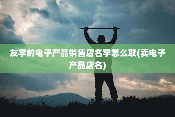 友字的电子产品销售店名字怎么取(卖电子产品店名)