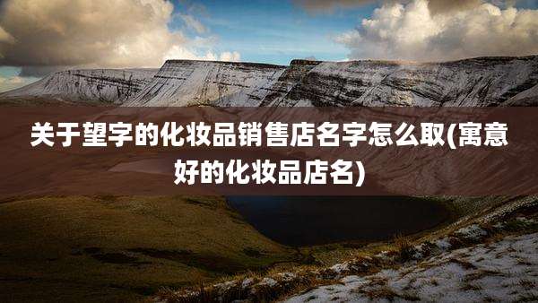 关于望字的化妆品销售店名字怎么取(寓意好的化妆品店名)