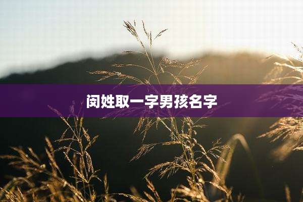闵姓取一字男孩名字
