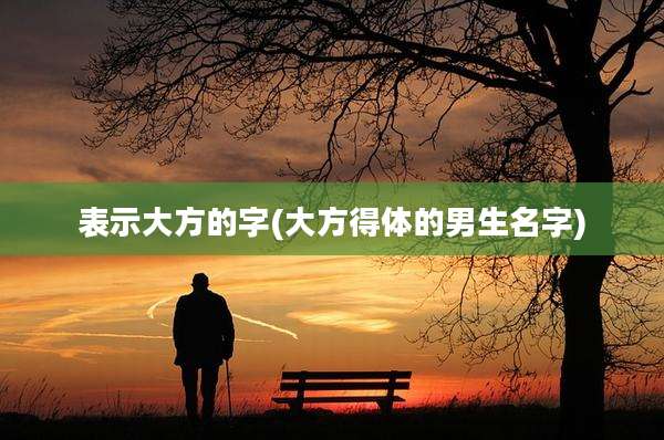 表示大方的字(大方得体的男生名字)