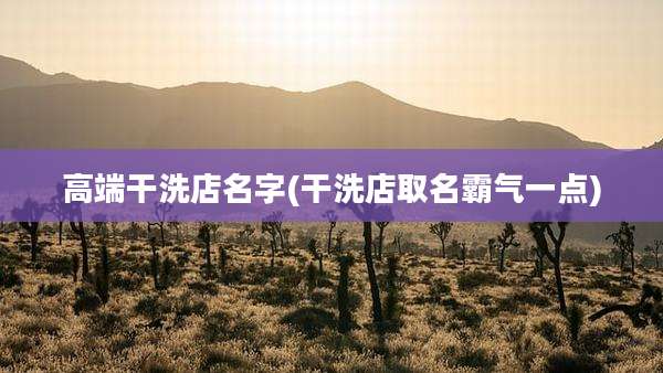 高端干洗店名字(干洗店取名霸气一点)
