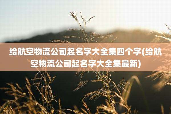 给航空物流公司起名字大全集四个字(给航空物流公司起名字大全集最新)