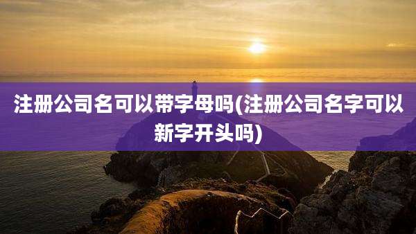注册公司名可以带字母吗(注册公司名字可以新字开头吗)