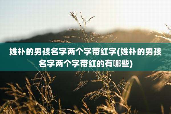 姓朴的男孩名字两个字带红字(姓朴的男孩名字两个字带红的有哪些)