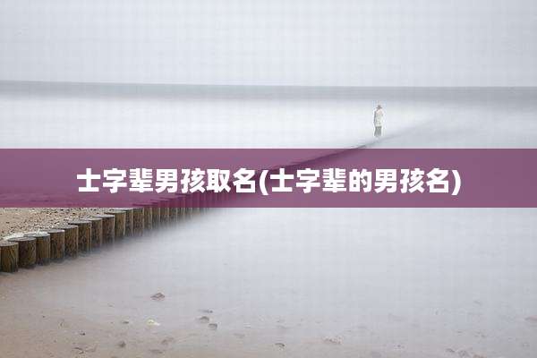 士字辈男孩取名(士字辈的男孩名)