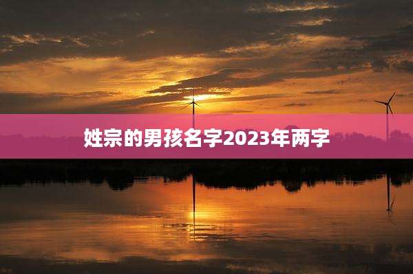 姓宗的男孩名字2023年两字