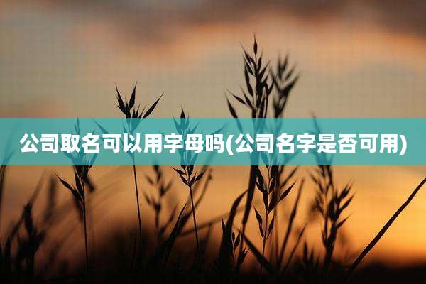 公司取名可以用字母吗(公司名字是否可用)